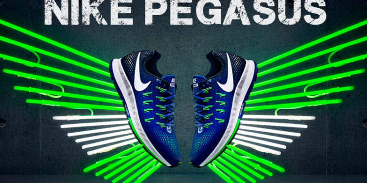 Nike Air Zoom Pegasus