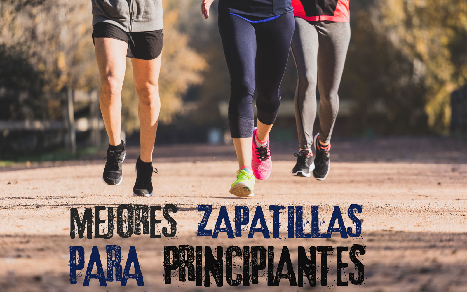 encuesta hogar tribu Mejores zapatillas de correr para principiantes en asfalto