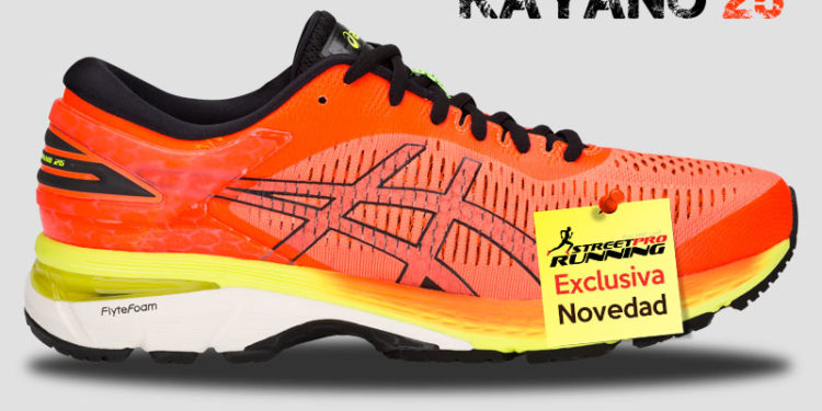 Asics Gel Kayano 25