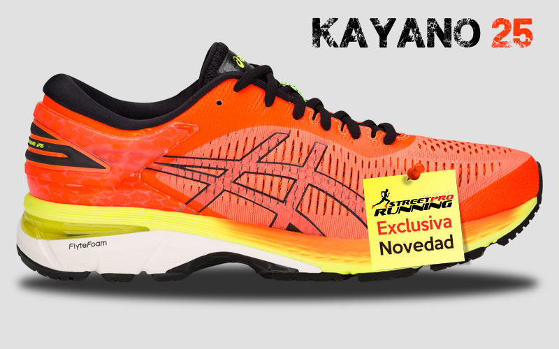 Asics Gel Kayano 25