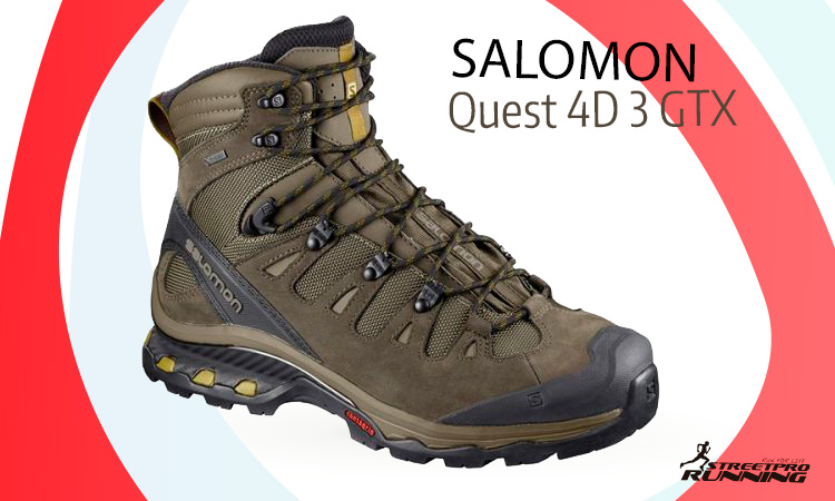 Zapatillas para trekking Salomon Quest 4D 3 GTX