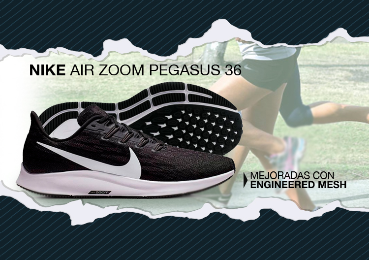 pegasus 36 caracteristicas