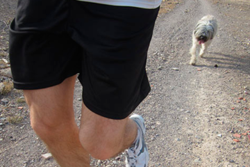 running-trail-et-chien