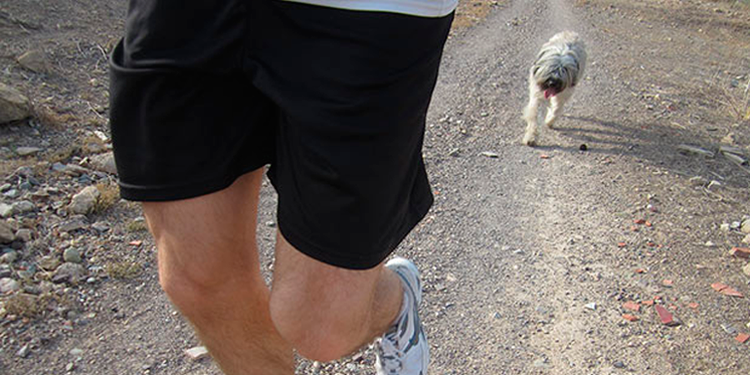 running-trail-et-chien