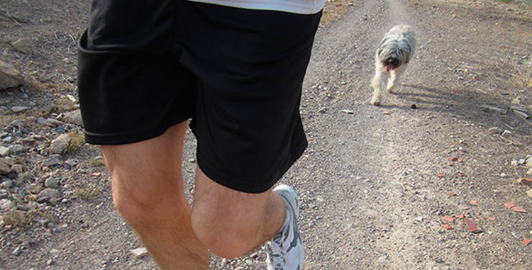 running-trail-et-chien