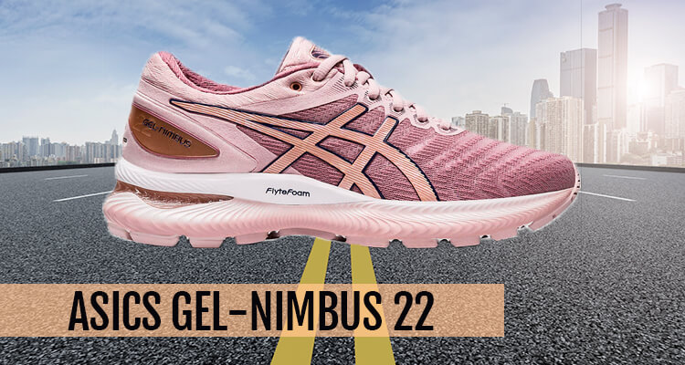 Asics Gel Nimbus 22