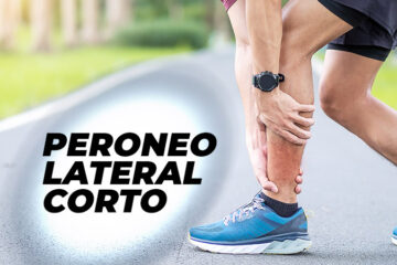 peroneo-lateral-corto