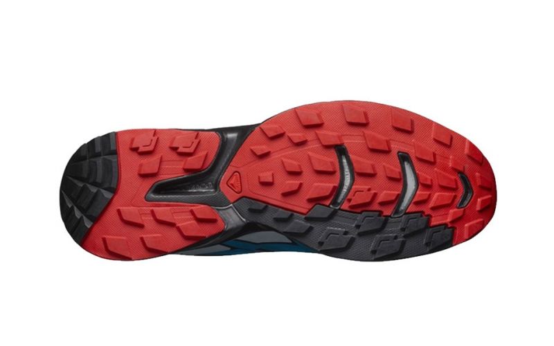 salomon wings pro 2