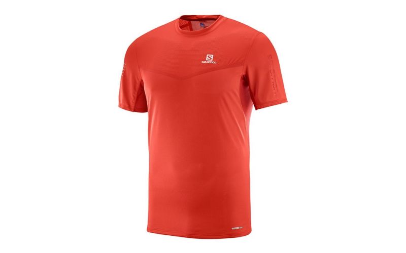 salomon fast wing tee