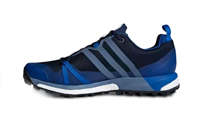 Adidas Terrex Agravic Gtx Navy blue