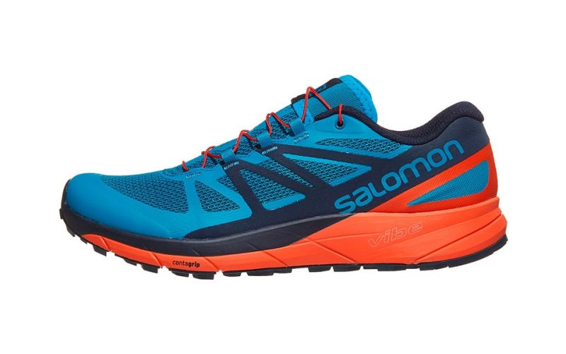 salomon sense ride blue