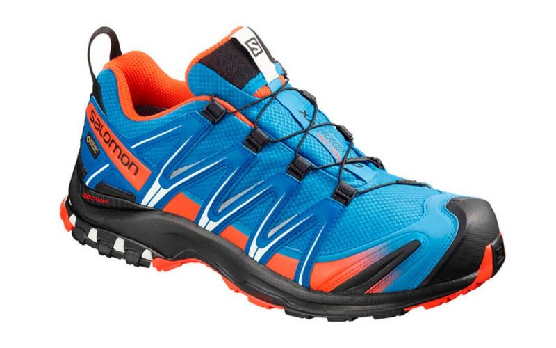 salomon xa pro 3d gtx blue