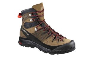 SALOMON X ALP HIGH LTR GTX MARRON CLARO L40162300