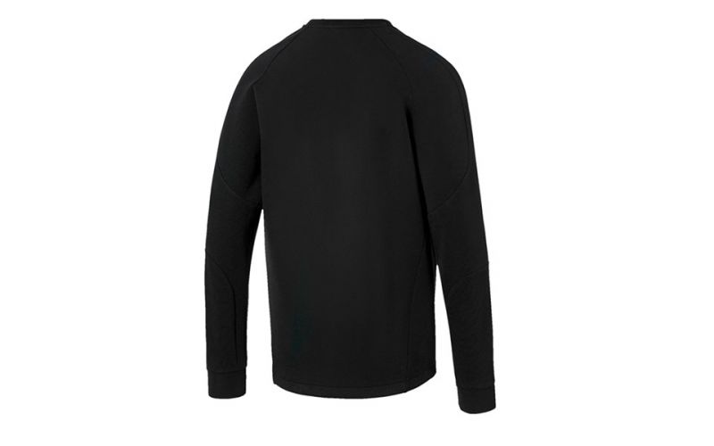 puma evostripe hooded