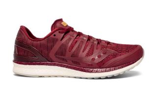 SAUCONY LIBERTY ISO BORGOA S20410-41