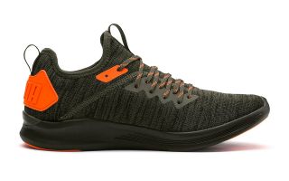 Puma IGNITE FLASH EVOKNIT UNREST VERT ORANGE 191593 02