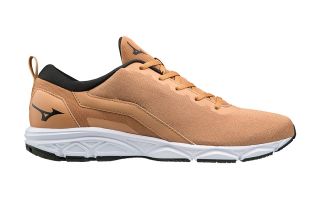 MIZUNO EZRUN 2 DORADO NEGRO J1GE1938 70