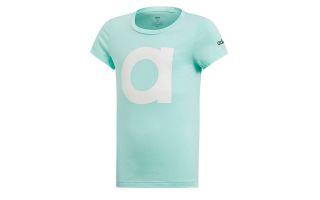 adidas CAMISETA ESSENTIALS AGUAMARINA NIO DV0347