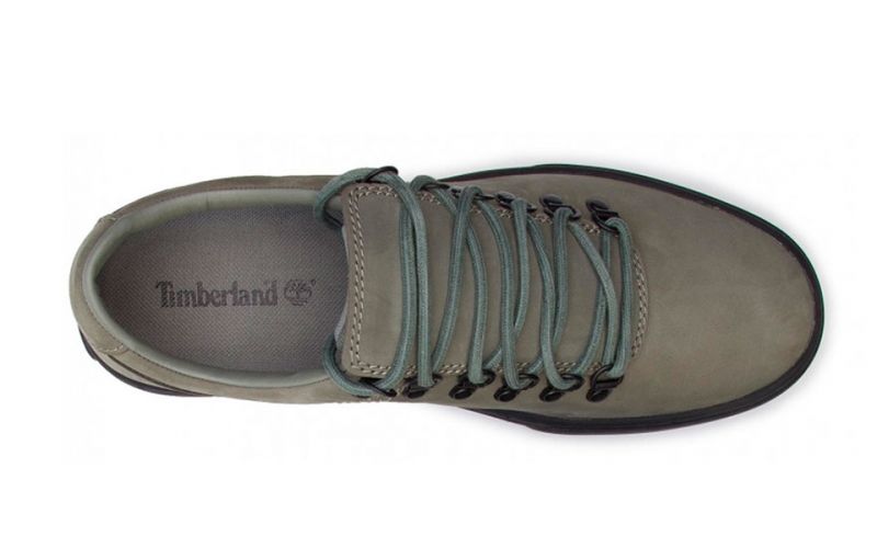 timberland alpine 2.0