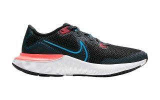 Nike RENEW RUN NEGRO NIO CT1430-090