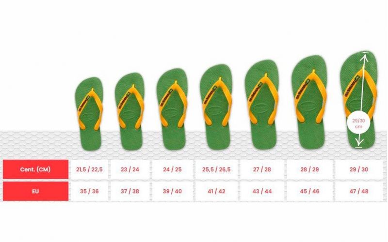 Ciabatte Havaianas 76051 Verdi da Donna | Pittarello