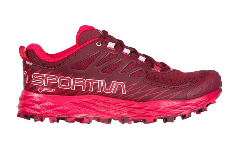 Lycan Gtx Grenate Femme 36r312401