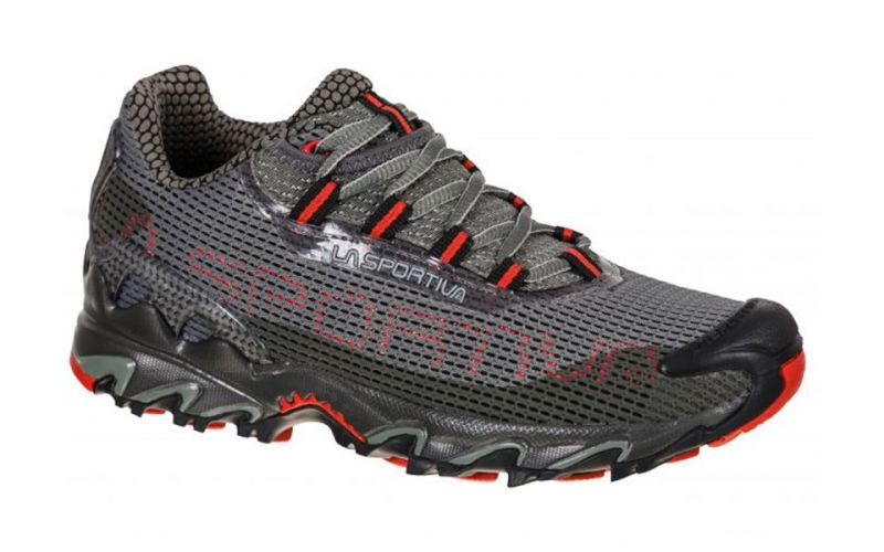 Wild Cat Gris Femme 537909402