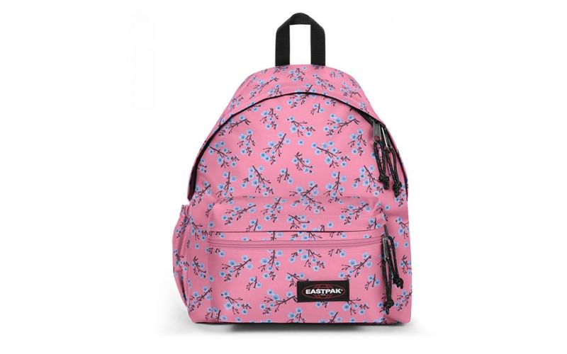 Padded Zippl R Rosa Azul Ek0a5b74b99