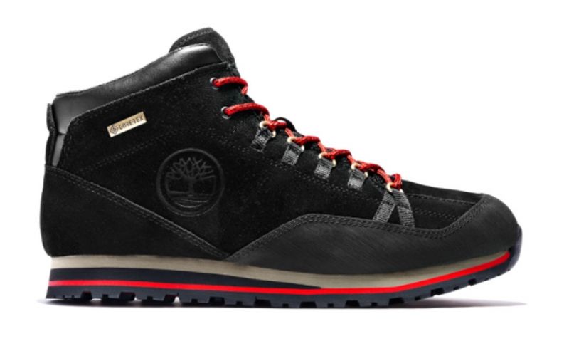 Bartlett Ridge Mid Hiker Gtx Noir Tb0a27910151