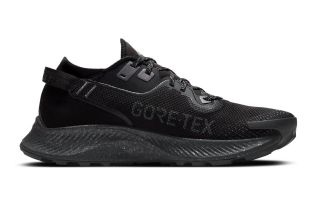 NIKE PEGASUS TRAIL 2 GORE-TEX NEGRO GRIS CU2016 001