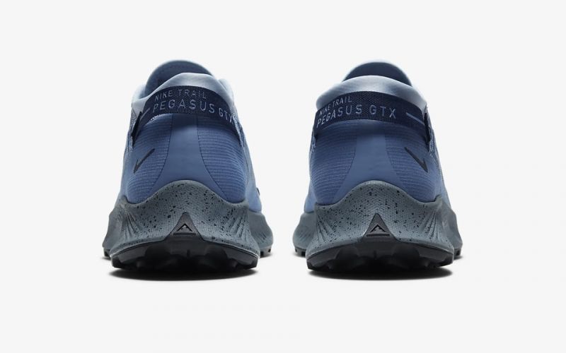 pegasus trail 2 blue