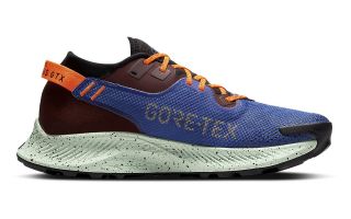 NIKE PEGASUS TRAIL 2 GORE TEX BLUE ORANGE