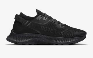 NIKE PEGASUS TRAIL 2 GORE-TEX  NEGRO GRIS MUJER CU2018 001