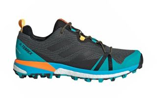 ADIDAS TERREX SKYCHASER LT GTX GRIS AZUL FX0148