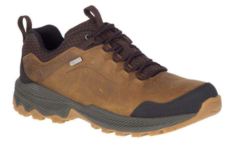 Forestbound Wp Marron J16503n260