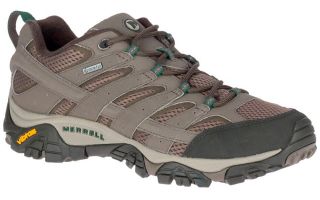 Merrell MOAB 2 GTX GRIS J033335 710
