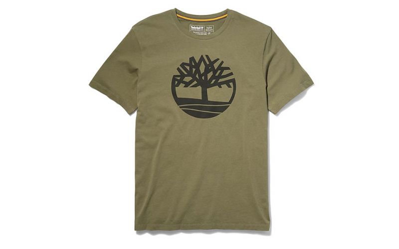 Camiseta Timberland Kennebec River Brand Tree Verde Olivo