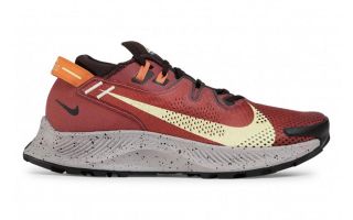 Nike PEGASUS TRAIL 2 ROJO VINO CK4305 600
