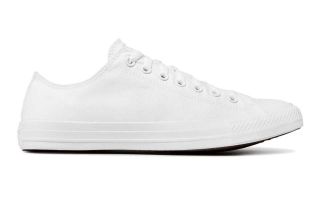 Converse CHUCK TAYLOR ALL STAR SP OX WHITE