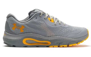 Under Armour HOVR GUARDIAN 3 GRIS 3023542100
