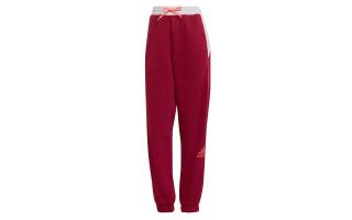 <center><b>adidas</b><br > <em>PANTALN ESSENTIALS VINO MUJER</em>