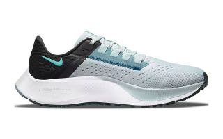 AIR ZOOM PEGASUS 38 GRIS AQUA MUJER CW7358 401
