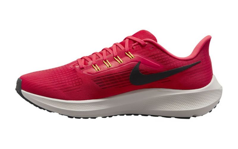 pegasus 39 pro
