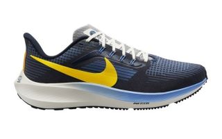 AIR ZOOM PEGASUS 39 PREMIUM NEGRO AZUL DO9580 400
