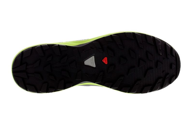 salomon pronatore