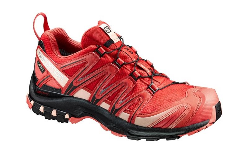 xa pro 3d gtx forces