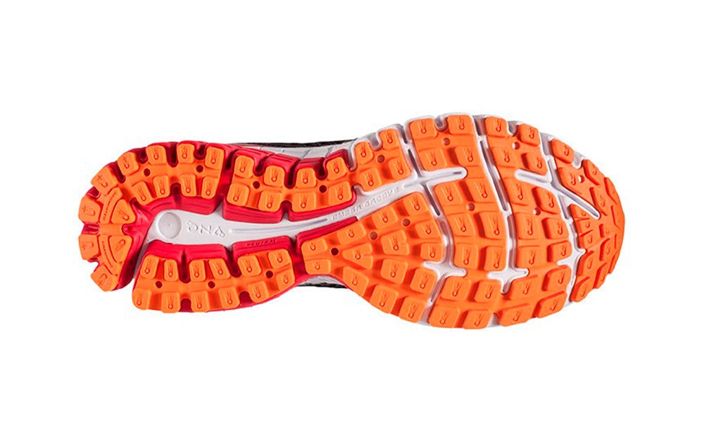 biomogo dna