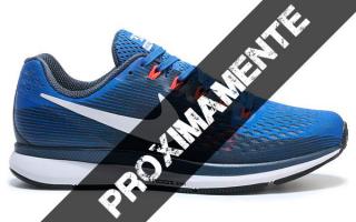 NIKE AIR ZOOM PEGASUS 34 AZUL